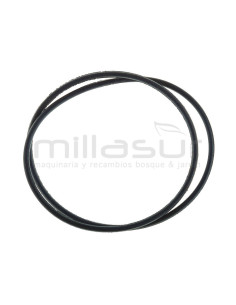 JUNTA TORICA BOMBA 195X3,55 (A6)