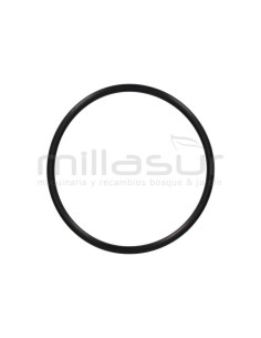 JUNTA TORICA CUERPO BOMBA 95x5 BE750AS (43)