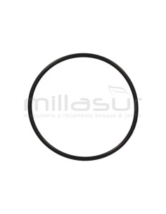 JUNTA TORICA CUERPO BOMBA 72x3 BE750AS (41), BE1000ASX