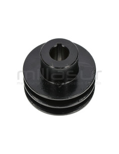 POLEA DOBLE SALIDA MOTOR BIO150S (45)