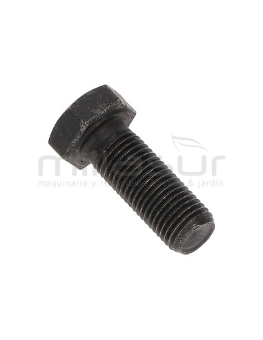 TORNILLO POLEA SALIDA MOTOR BIO150S (52)