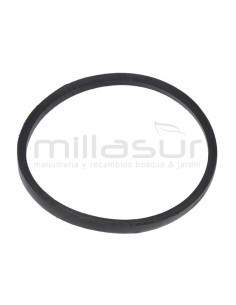 CORREA  BOMBA BIO300 (62)