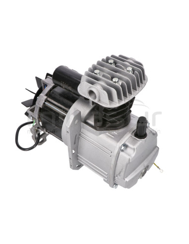 MOTOR COMPLETO CON BOMBA CA24, CA50 (31) (2HP - 2019)