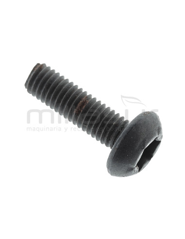 TORNILLO PEINE M517 CG2360