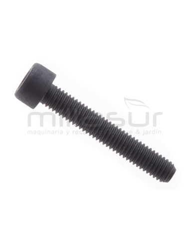 TORNILLO HEXAGONAL M5X30 CG2660