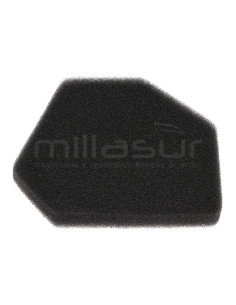 FILTRO AIRE ESPUMA D226-D233