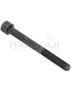 TORNILLO ESCAPE M6X60 D52R (24)