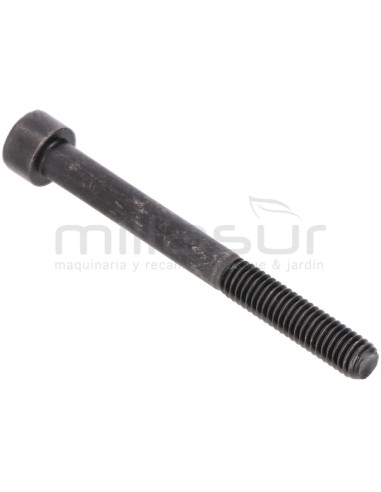 TORNILLO ESCAPE M6X60 D52R (24)