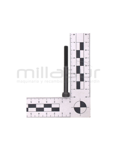 TORNILLO ESCAPE M6X60 D536