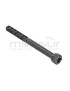 TORNILLO ESCAPE M6X60 D545, D553
