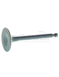 VALVULA ADMISION GC5500, GC7000, MA420