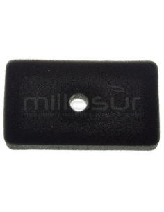 FILTRO AIRE GI2000 (B72)