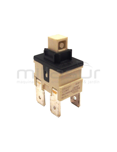 INTERRUPTOR PARA H1700 (114)