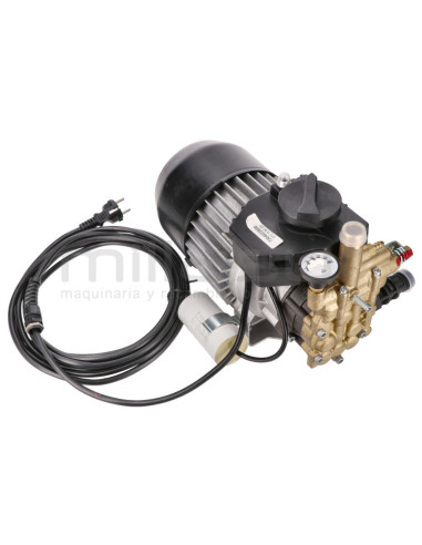 MOTOR COMPLETO HIDROLIMPIADORA H1700-H1700CL