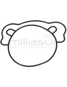 JUNTA RACOR ENTRADA H1950 (18)