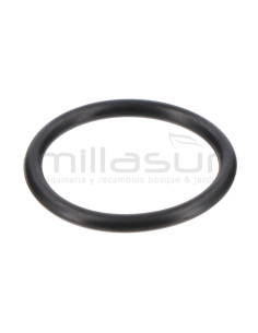 JUNTA TORICA 17X1.8 H2200 (5)