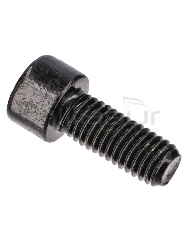 TORNILLO TAPA LATERAL M8X20 H2200 (12)