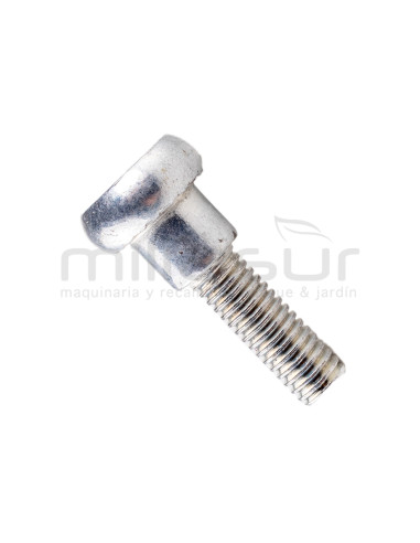 TORNILLO FIJACION ASA M437HXP (44)