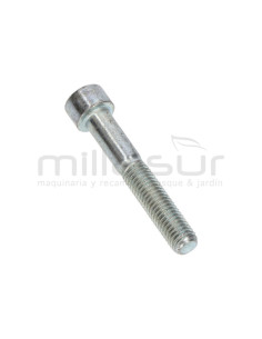 TORNILLO APRIETE CULATA BOMBA P100-187