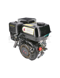 MOTOR COMPLETO 7CV RLT12GVH (49), BIO70 (24)