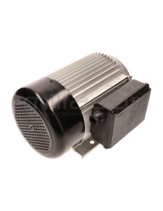 MOTOR ELECTRICO RLT12VH (70)