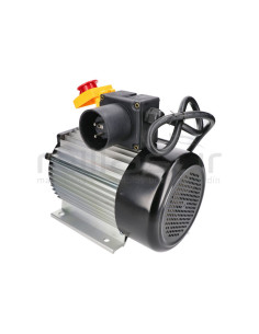 MOTOR COMPLETO RLT12VH  ( 49 )