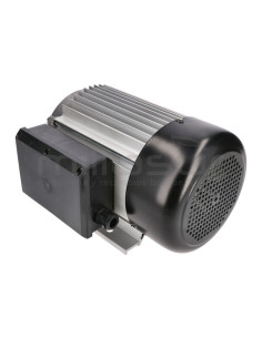 MOTOR ELECTRICO RLT8C (67-4)