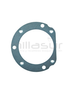 CHAPA SUJECION CAPO SG1C, SG2C