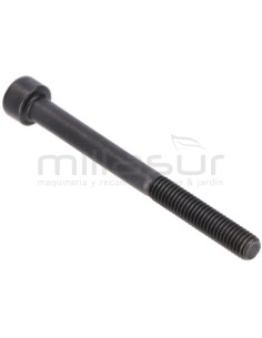 TORNILLO SUJECION ESCAPE M5X55 SG1C, SG2C (A54)