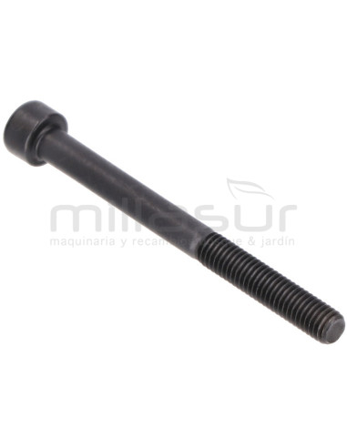 TORNILLO SUJECION ESCAPE M5X55 SG1C, SG2C (A54)