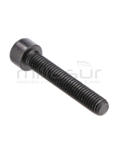 TORNILLO M6X35 TC98S (09 32)