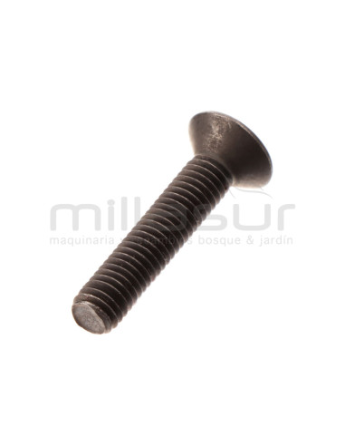 TORNILLO SUJECION SOPORTE REDUCTORA TPB4506 (26)