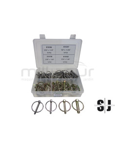 CAJA PASADORES (50 PCS)