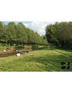 STIHL FS 70 RC-E Desbrozadora 2