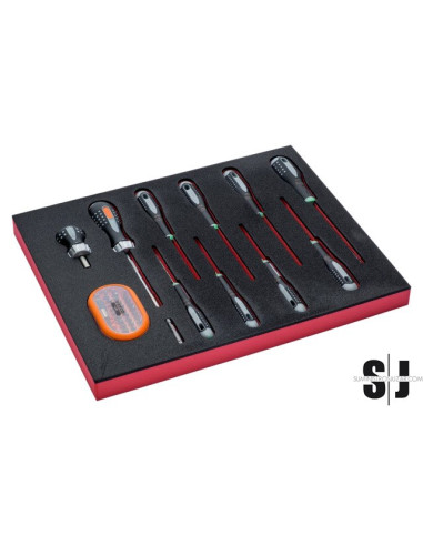 Juego de destornilladores y puntas para TORX® en bandeja de foam 2/3 Fit&Go (12 piezas)