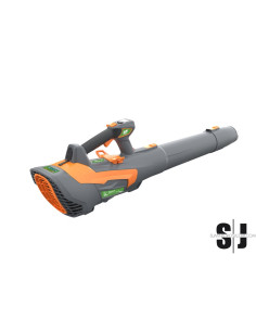 SOPLADOR  BATERÃA 60V ANOVA