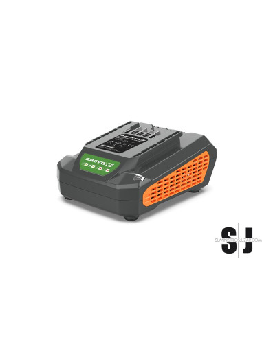 CARGADOR 2,5A  BATERÃA 60V ANOVA