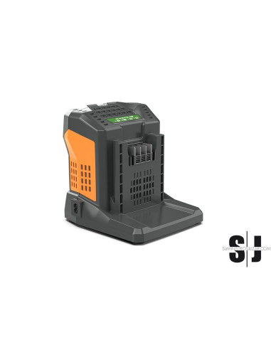 CARGADOR 5,5A  BATERÃA 60V ANOVA