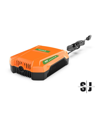 CARGADOR MOCHILA 8,0A  BATERÃA 60V ANOVA