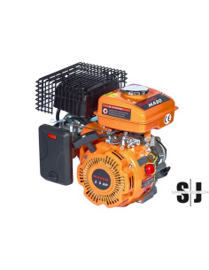 MOTOR 4T - 2 C.V EURO-V ( TIPO SULFATADORA) (15X50)
