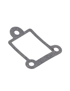 JUNTA TAPA LUMBRERA D33N